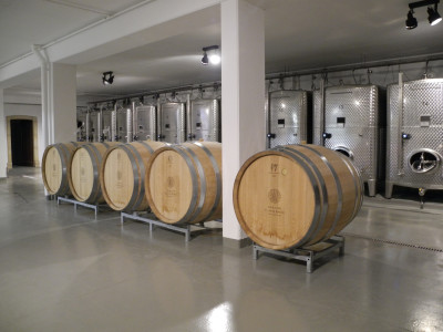 cellar