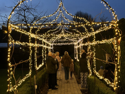 Park in winter